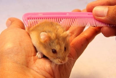 Приятно е някой да ти обръща внимание