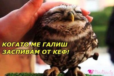 "Погали ме, за да заспя!"