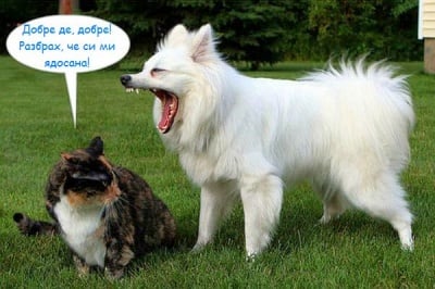 Когато не се прибереш цяла нощ ...