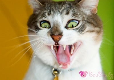 Когато осъзная, че е понеделник ...