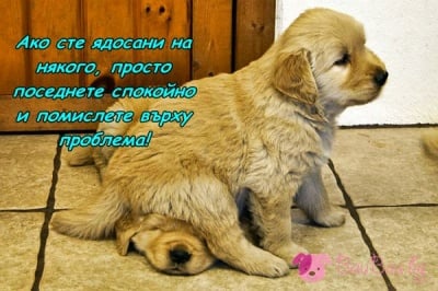 Метод за справяне с гнева