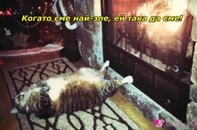 Здраве, щастие, спокойствие и топлина