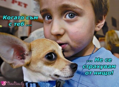 Приятели завинаги