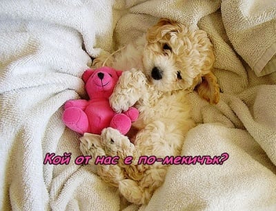 Меки и пухкави