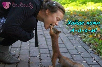 Кой казва, че животните не са грижовни към хората?