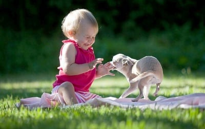 Кой ли го е гъдел повече?