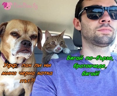 Кой за какво си мисли?