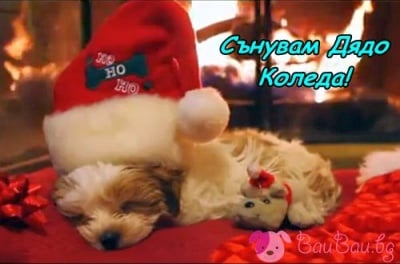 Коледен сън