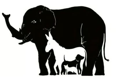 Колко животни виждате на снимката?