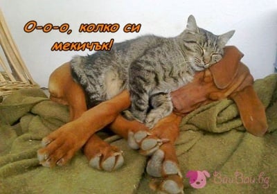 Има щастие!