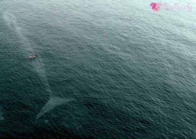 Колко сме големи всъщност?