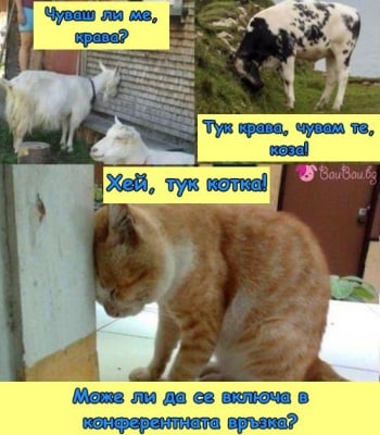 Конферентен разговор