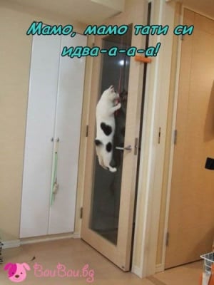 В очакване ...