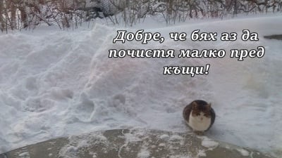 Снегопочистваща фирма "КотеМау"