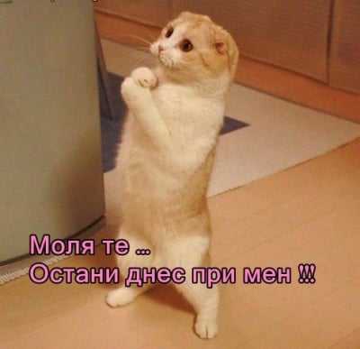 Молба в понеделник сутрин
