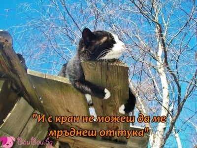 Сладка дрямка