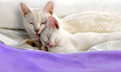 В прегръдките на мама