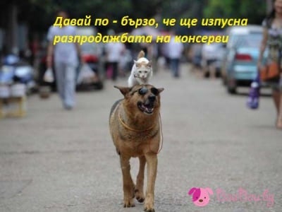 Безплатен транспорт