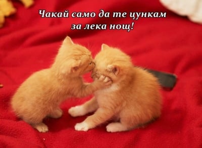 Целувка за лека нощ