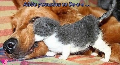 Усмихни се-е-е-е