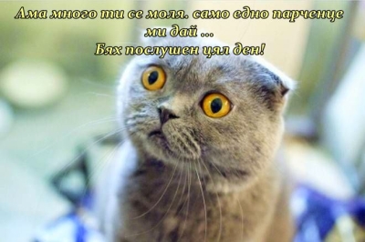 Най-невинния поглед