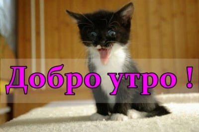 Ето, че пак е понеделник