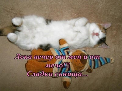 "Тази вечер ще спя с Мечо"