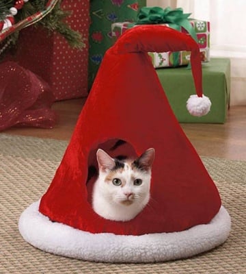 "Получих най-хубавия коледен подарък"