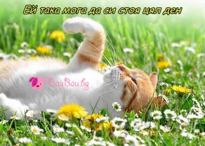 Е-е-ех пролет ... пролет