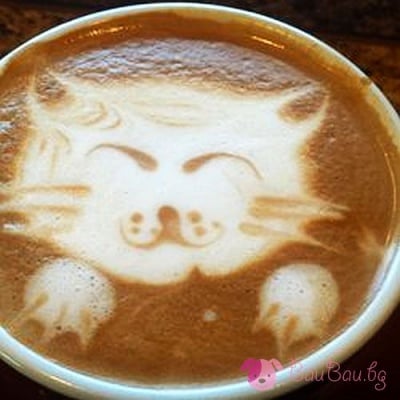 Котешко кафенце