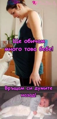 Котка и бебе под един покрив