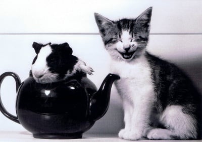 "Да те черпя едно чайче"