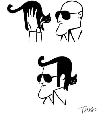 Котка като прическа