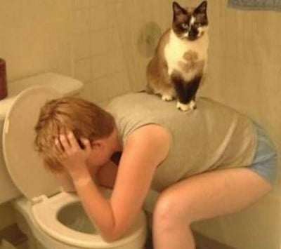 Верен приятел