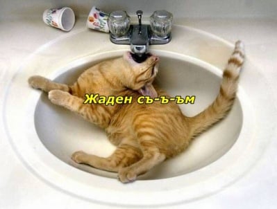 Не си ти, когато си жаден!