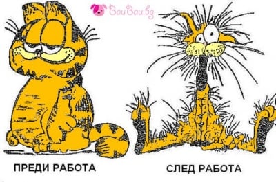 Мда-а-а, поредния уморителен ден  ...