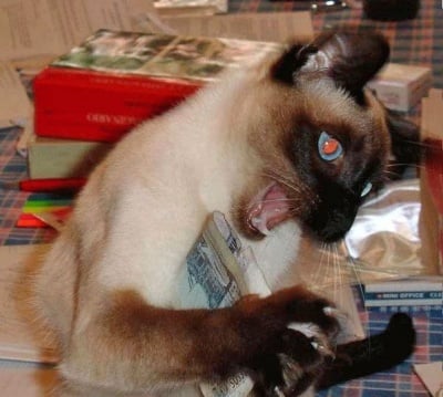 "Увеличиха ми заплата-а-а-а"