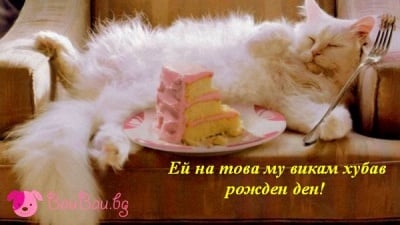 Повече от доволен