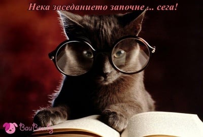 В заседание