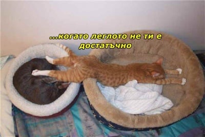 Когато леглото не ти стига...