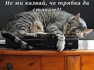 Да те събудят в петък