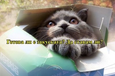 Буден за закуска