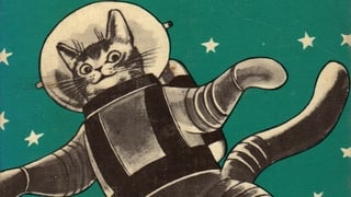 Изпращат котка в космоса