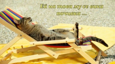 По гръб най-добре се живее