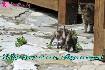 Има ли гладници? Хайде на обяд ...