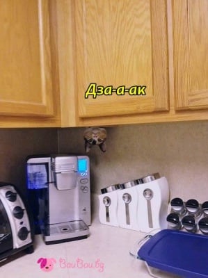 "Готово. Почвай да ме търсиш"