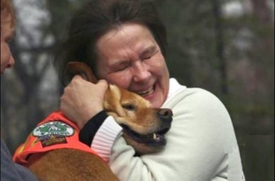 Куче без крайници вдъхновява хора инвалиди