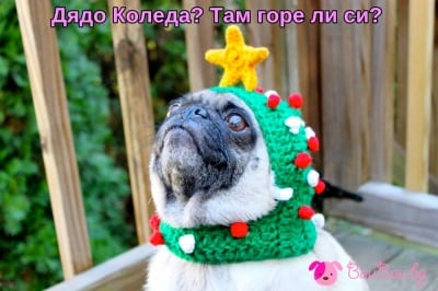 В очакване на Дядо Коледа