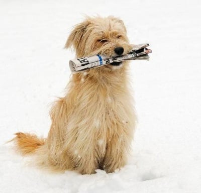 "Имате поща"