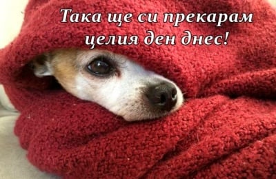 Почивен ден